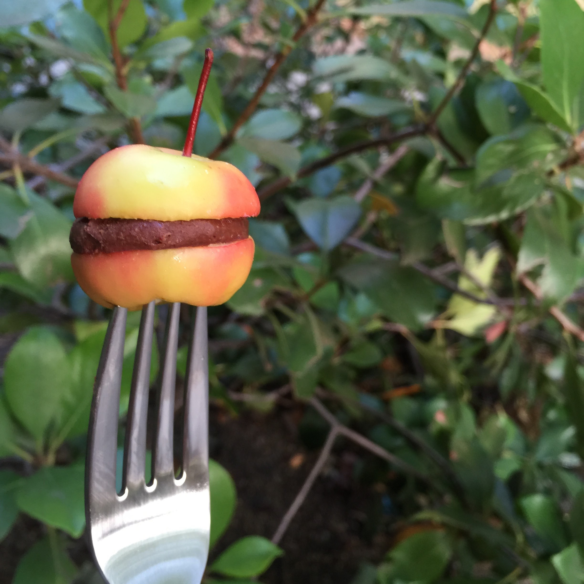 Mini Apple Burger!