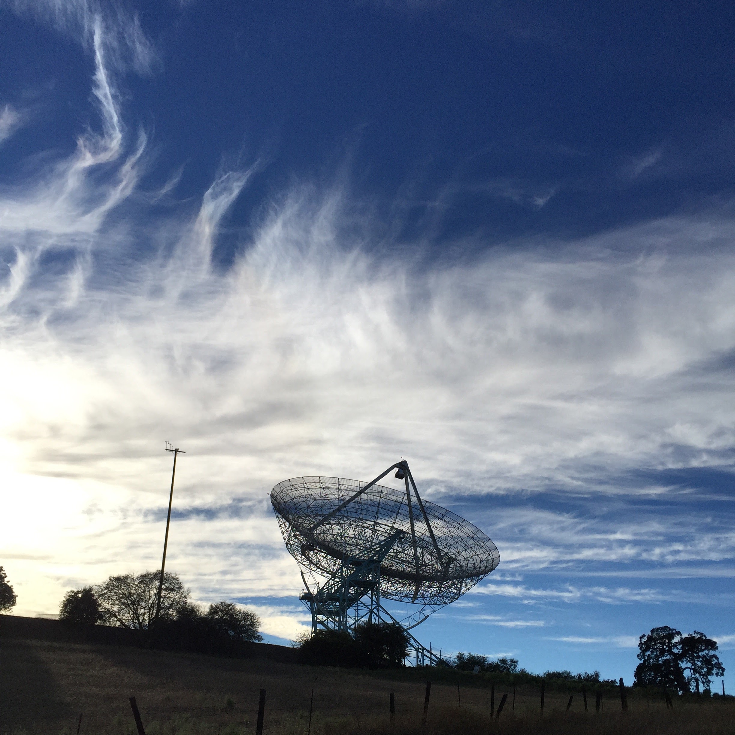 The Dish