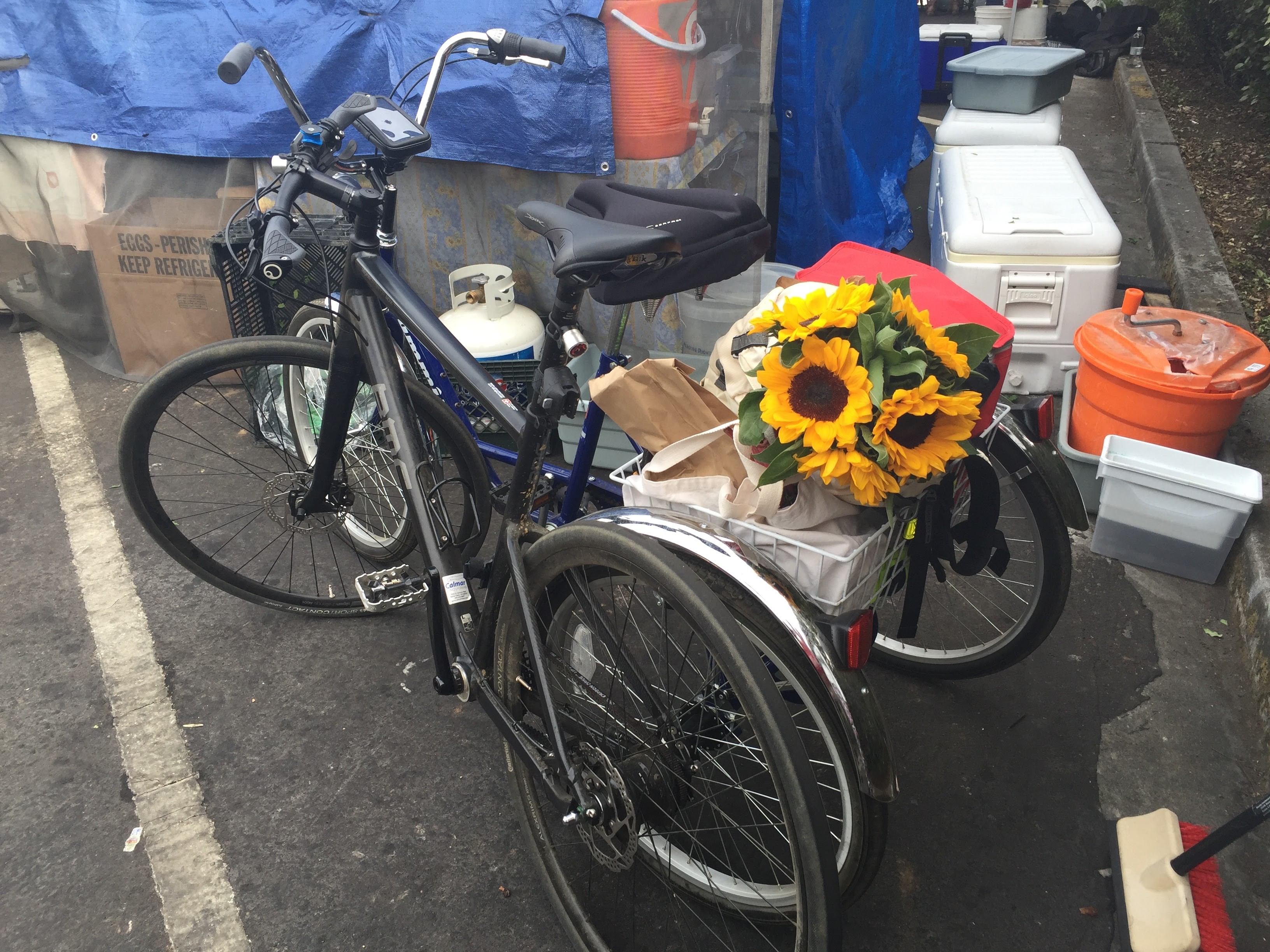 Farmer's Market