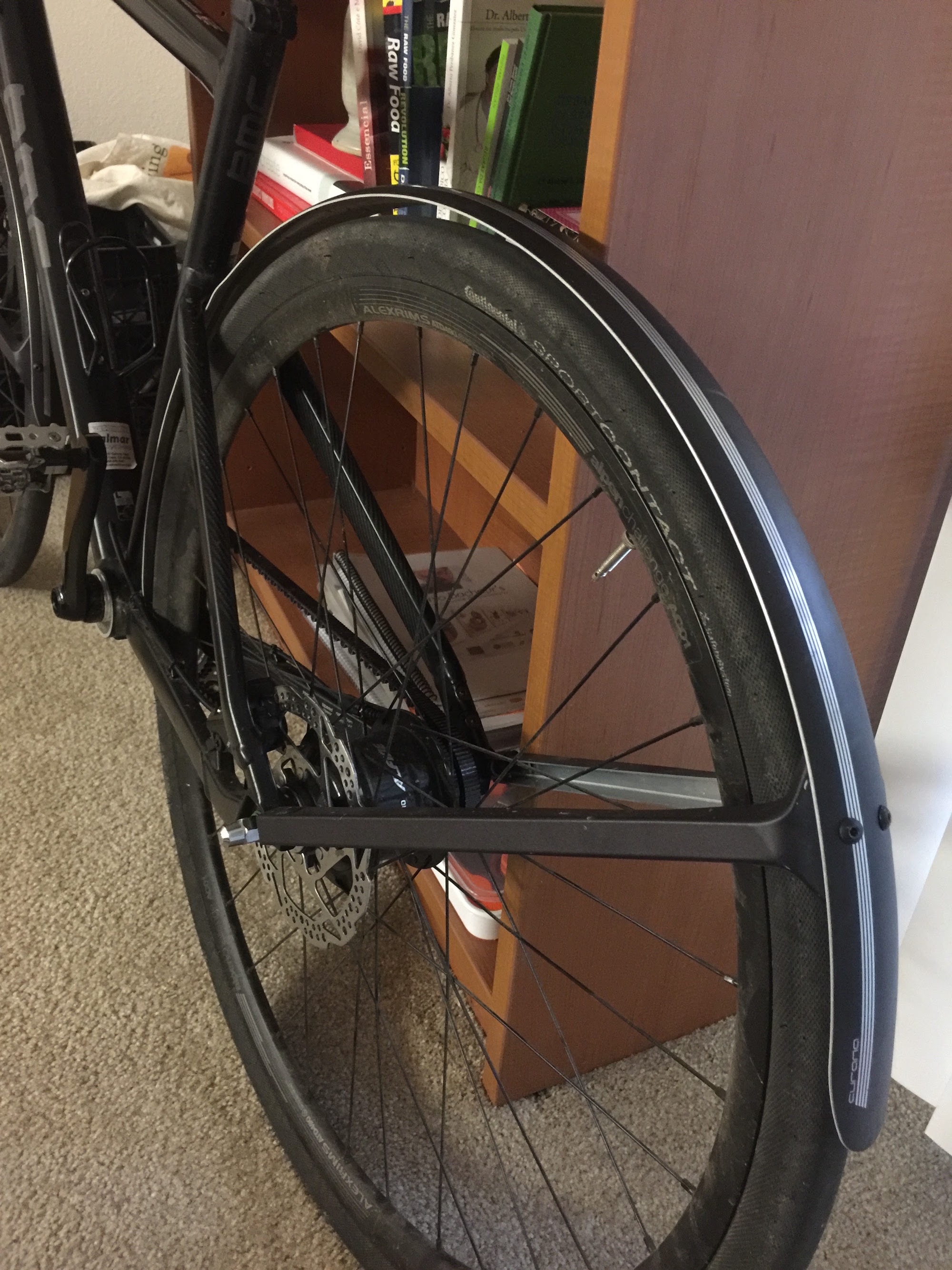 Bike Fenders