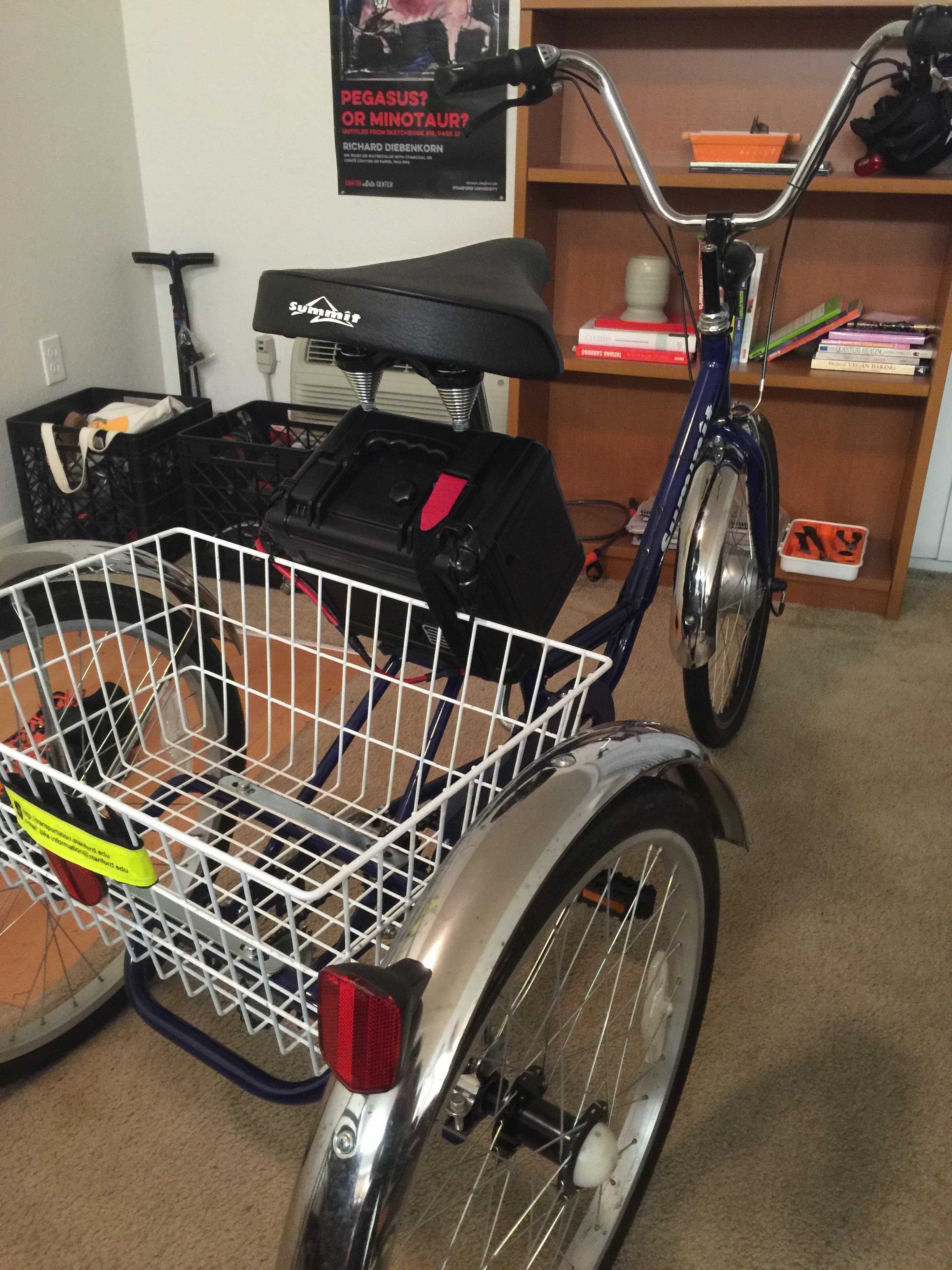 E-Trike ready!!